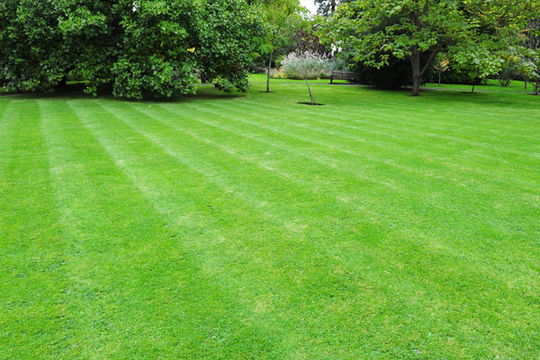 lawn care north okanagan